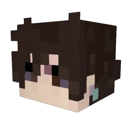 h4yles Minecraft avatar head, 3D render