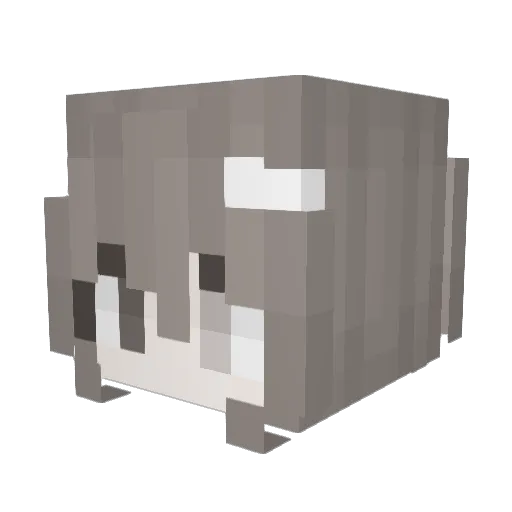 h6enn Minecraft avatar head, 3D render