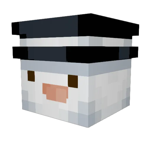 hAy1 Minecraft avatar head, 3D render