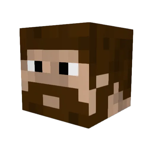 hQns_ Minecraft avatar head, 3D render