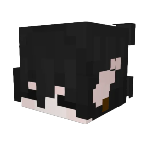 hSolyn Minecraft avatar head, 3D render