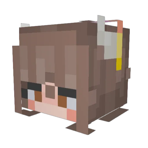 h_Jenn Minecraft avatar head, 3D render