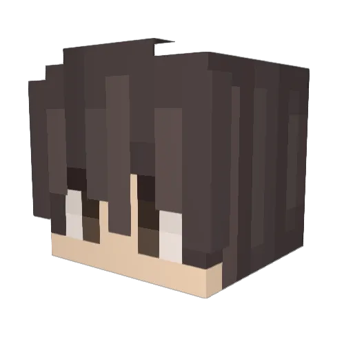 h__________h Minecraft avatar head, 3D render