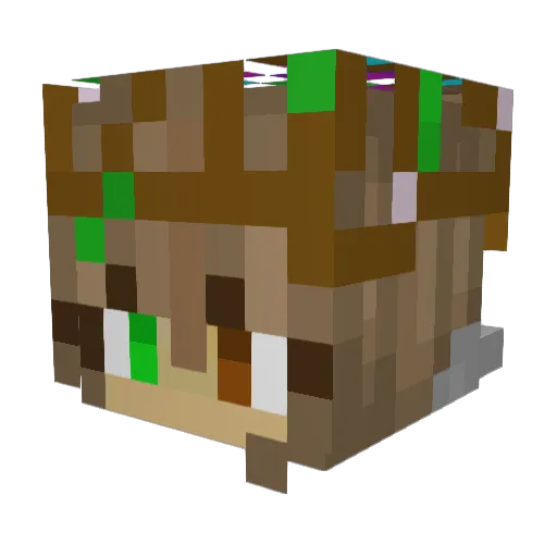 h_ann_ah Minecraft avatar head, 3D render