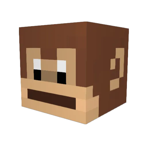 h_ayd Minecraft avatar head, 3D render