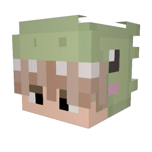 h_sunwoo Minecraft avatar head, 3D render