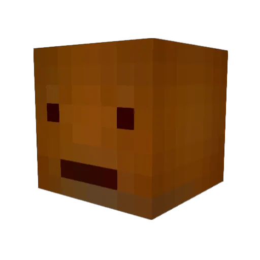 h_wn_sk Minecraft avatar head, 3D render