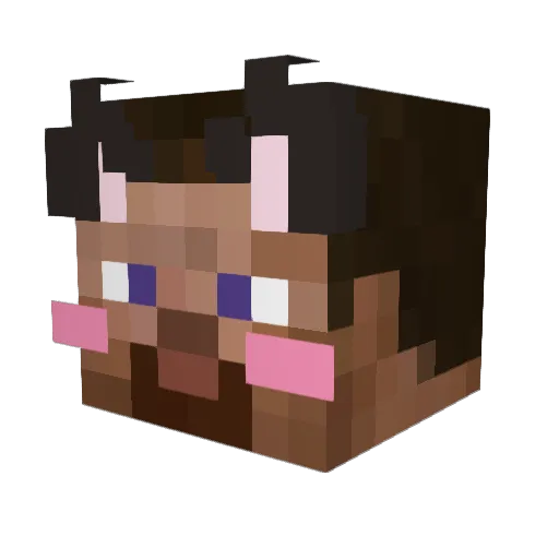 haLVa53 Minecraft avatar head, 3D render