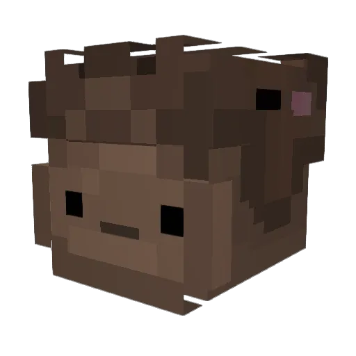 haaabin Minecraft avatar head, 3D render