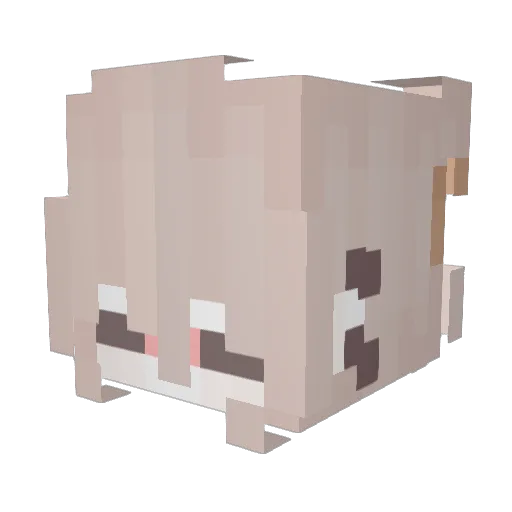haadrim Minecraft avatar head, 3D render