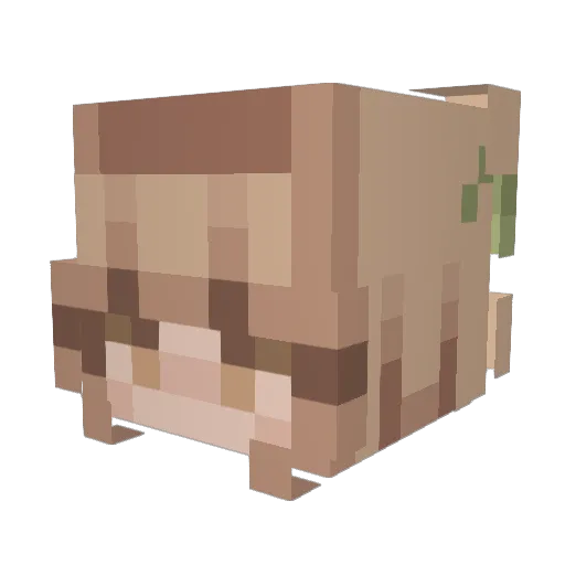 haailie Minecraft avatar head, 3D render