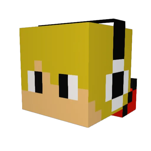 haap2003 Minecraft avatar head, 3D render