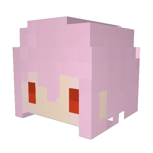 haasin8888 Minecraft avatar head, 3D render