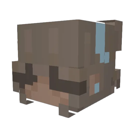 haayden Minecraft avatar head, 3D render