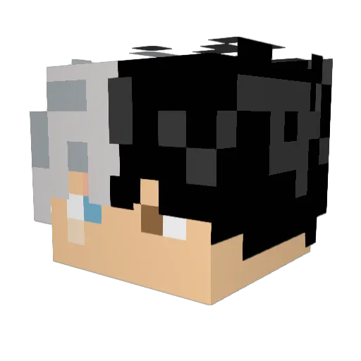 habemus_gollo Minecraft avatar head, 3D render