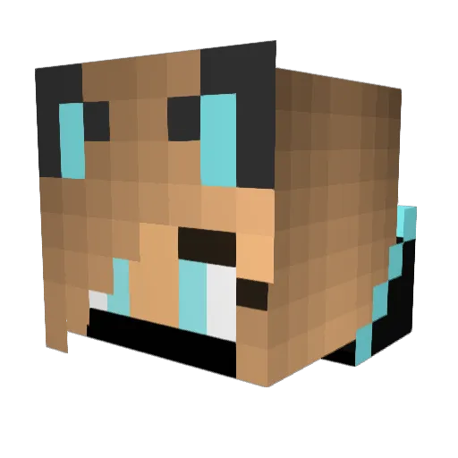 habitabledread3 Minecraft avatar head, 3D render