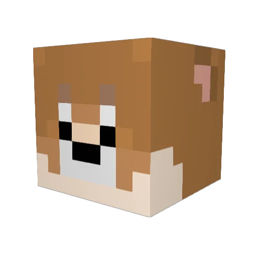 hachi81 Minecraft avatar head, 3D render