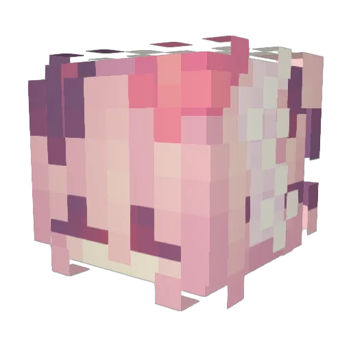 hachipupu Minecraft avatar head, 3D render