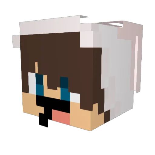 hackedbynyqlas Minecraft avatar head, 3D render
