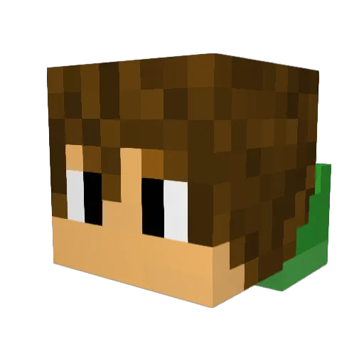 hackerFinn Minecraft avatar head, 3D render