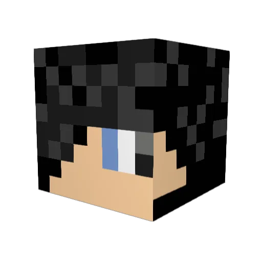 hackerkillT Minecraft avatar head, 3D render
