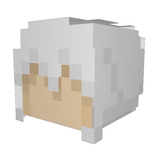 hackerwaves Minecraft avatar head, 3D render