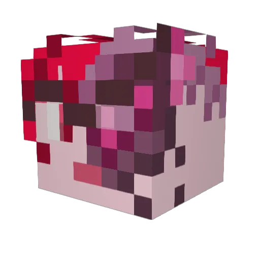 hackharvester Minecraft avatar head, 3D render
