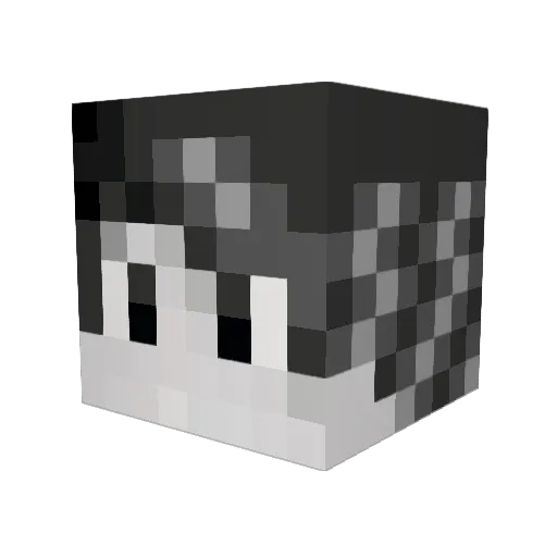 hacking1243 Minecraft avatar head, 3D render