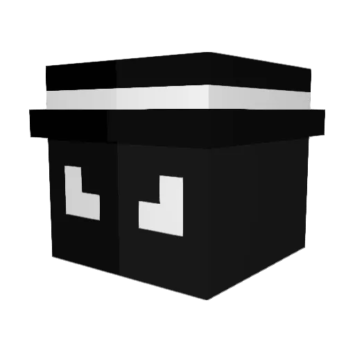 hackozz Minecraft avatar head, 3D render