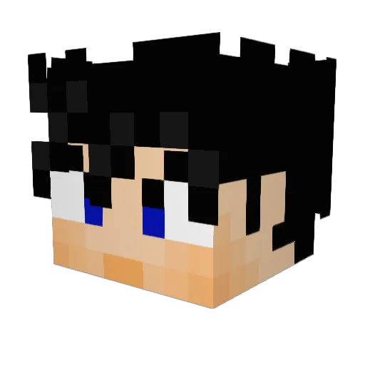 hacktehplanet Minecraft avatar head, 3D render