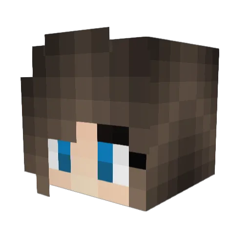 hackysak Minecraft avatar head, 3D render