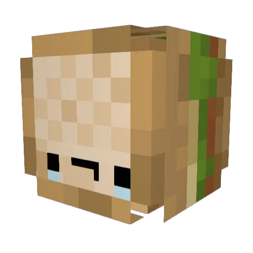 hacorice Minecraft avatar head, 3D render