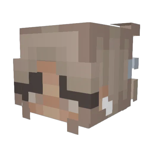 haddydaddy Minecraft avatar head, 3D render