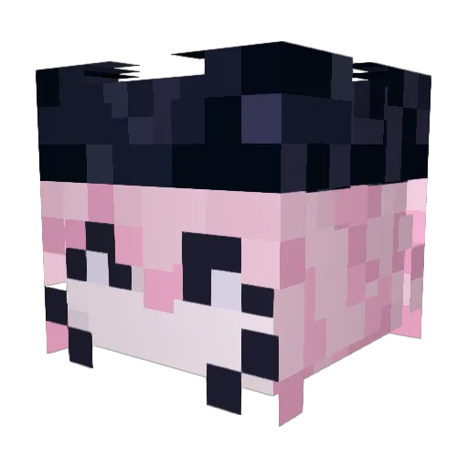 haderkins Minecraft avatar head, 3D render