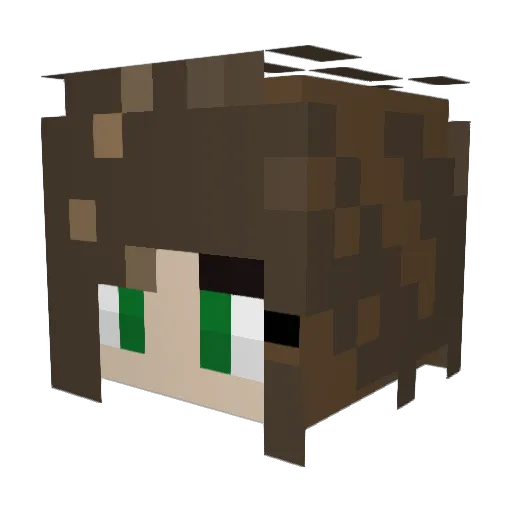 hadleeee Minecraft avatar head, 3D render