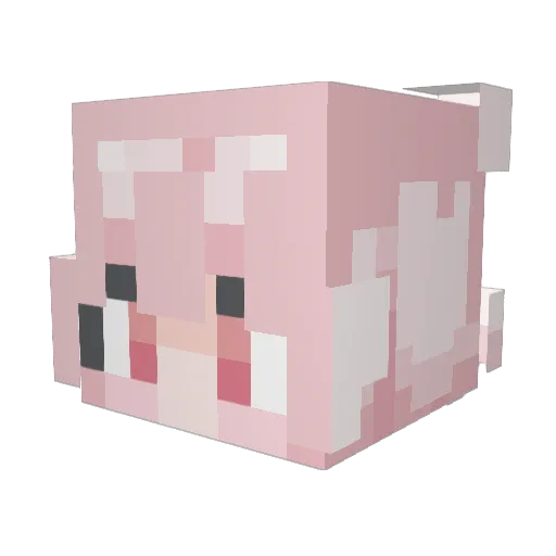 haegong20 Minecraft avatar head, 3D render