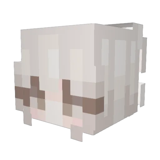 haerera Minecraft avatar head, 3D render