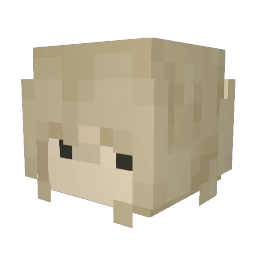 haezych Minecraft avatar head, 3D render