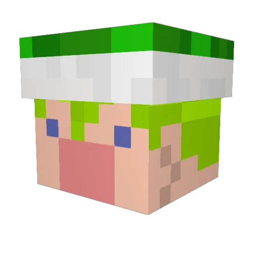 hagenari Minecraft avatar head, 3D render
