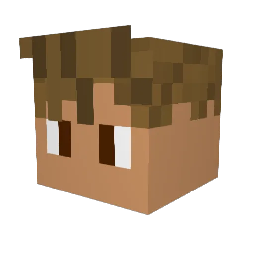 hags0315 Minecraft avatar head, 3D render