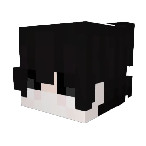 haha41 Minecraft avatar head, 3D render