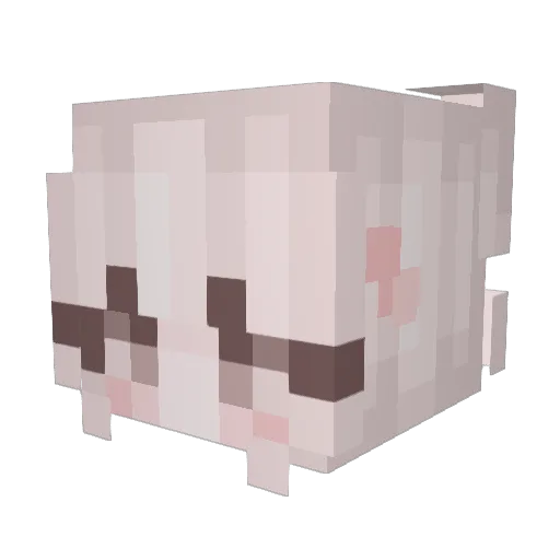 hahafcku Minecraft avatar head, 3D render