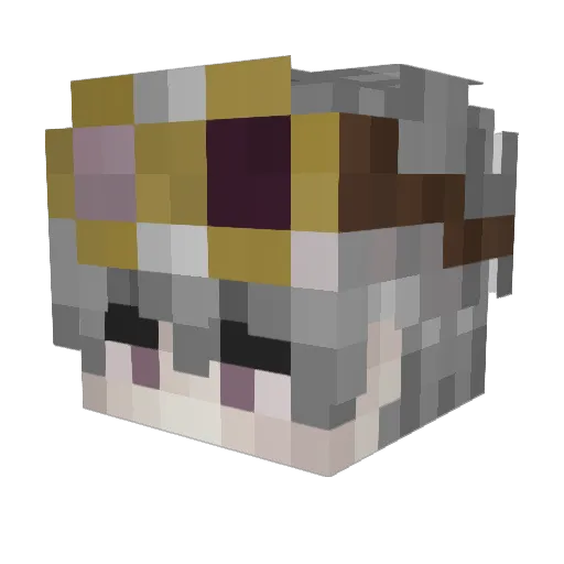hahahyesveryfun Minecraft avatar head, 3D render