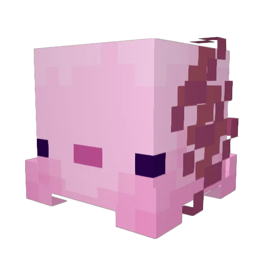 hahn_ml Minecraft avatar head, 3D render