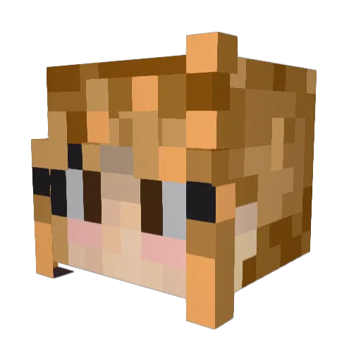 hail5894 Minecraft avatar head, 3D render
