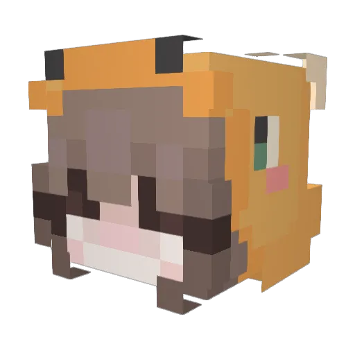 hailbails7638 Minecraft avatar head, 3D render