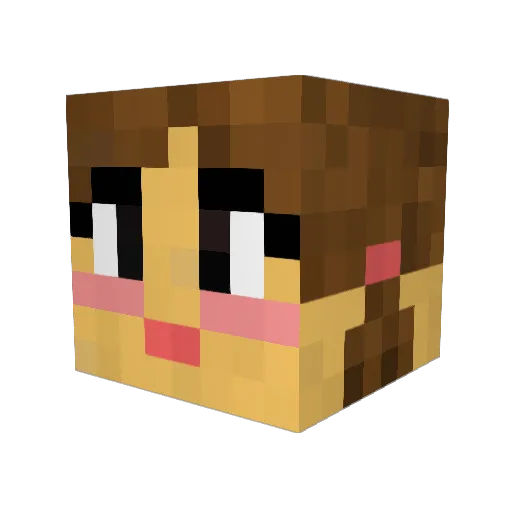 hailey11 Minecraft avatar head, 3D render