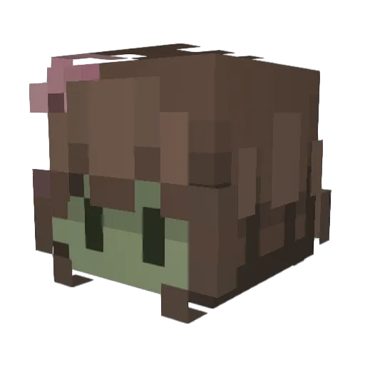 hailey1748 Minecraft avatar head, 3D render