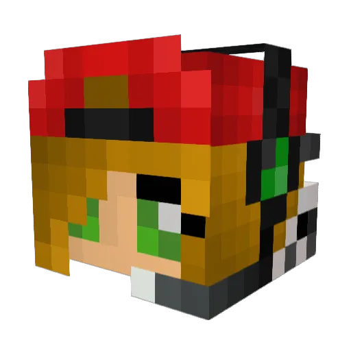 hailey3007 Minecraft avatar head, 3D render