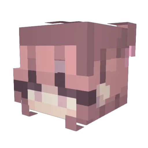 hailey_hayhay Minecraft avatar head, 3D render